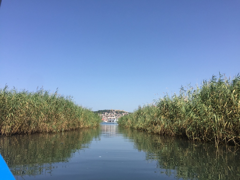 95780a2c 7ad3 4fa4 9924 bcbb031a5867 1 105 c