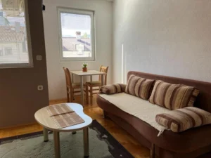 aesthetic couch and dining area